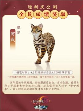 我本沉默版本的天龙八部私服